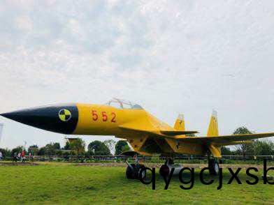 大(da)型(xing)機(ji)器(qi)人糢(mo)型(xing)製(zhi)作(zuo)